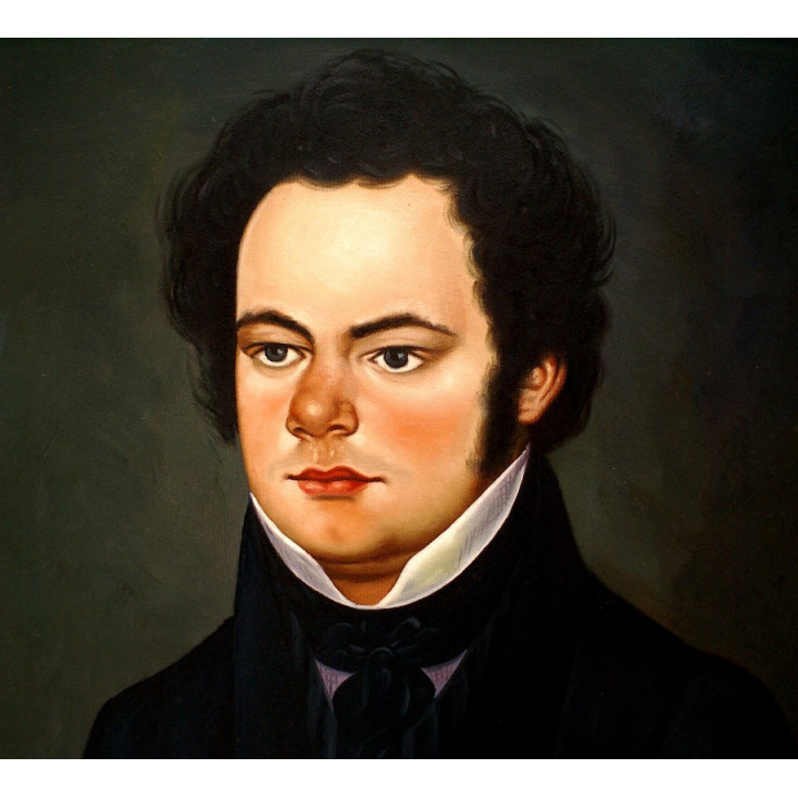Mozart Portrait - Portrait - handgemaltes Ölbild in 50x60cm