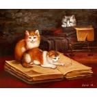 Katzen - handgemaltes Ölbild in  50x60cm-4_12